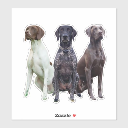 Sticker Deutsch Kurzhaar (GSP) (Feuille)