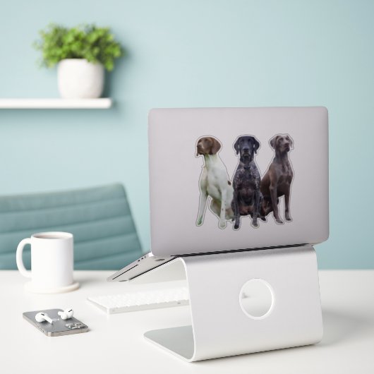 Sticker Deutsch Kurzhaar (GSP) (Ordinateur portable sur le bureau)