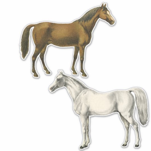 Sticker Deux chevaux Vintages (Devant)