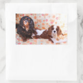 Sticker deux mignons Cavalier King Charles Spaniel (Sac)