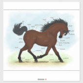 Sticker Diagramme d'anatomie équine avec lame (Feuille)