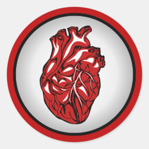 Sticker d'illustration de l'anatomie du coeur huma