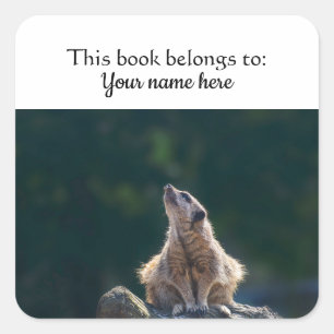 Sticker "Dit boek is van" voor Kleine stokstaartje