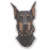 Sticker Doberman Pinscher (Devant)