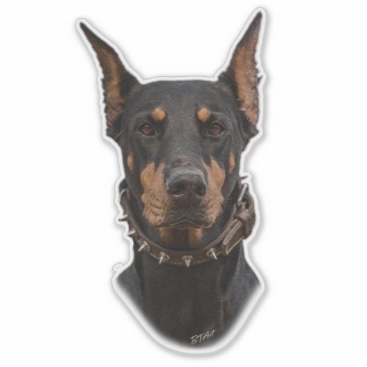 Sticker Doberman Pinscher (Devant)