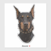 Sticker Doberman Pinscher (Feuille)
