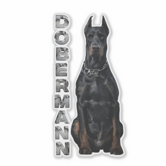 Sticker Doberman Pinscher (Devant)