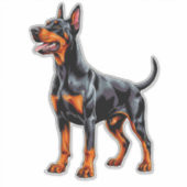Sticker Doberman Pinscher vibrant (Devant)