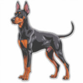 Sticker Doberman Pinscher vibrant (Devant)