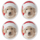 Sticker Dog Face Photo Custom Cut out (Devant)