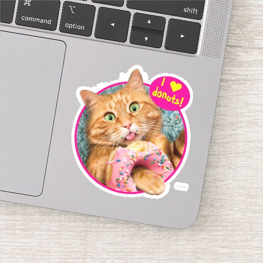 Sticker Donut mangeur de chats (Détail)