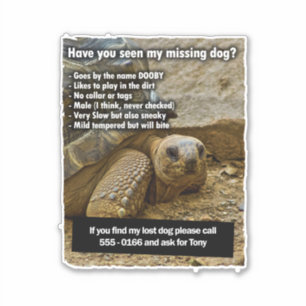 STICKER DOOBY CHIEN PERDU