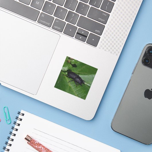 Sticker Dorcus parallelipipedus, le moindre dendroctone du (Ordinateur portable avec iPhone)