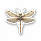 Sticker Dragonfly Animal Art Graphic Dragonfly (Devant)