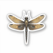 Sticker Dragonfly Animal Art Graphic Dragonfly (1) (Devant)