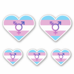 Sticker Drapeau de fierté trans cœur