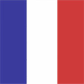 Sticker Drapeau de France (Devant)