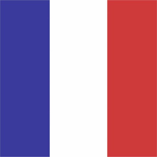 Sticker Drapeau de France (Devant)