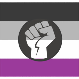 Sticker Drapeau de la contestation sexuelle