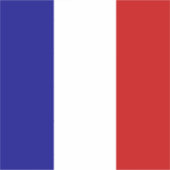 Sticker Drapeau de la France (Devant)