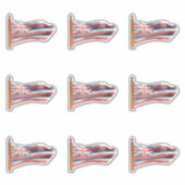 Sticker Drapeau de l'État d'Hawaï (Devant)