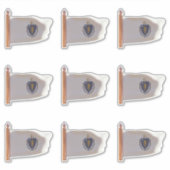 Sticker Drapeau de l'État du Massachusetts (Devant)