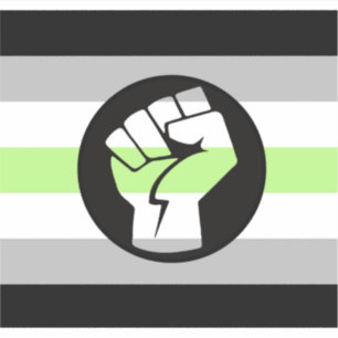 Sticker Drapeau de protestation agender