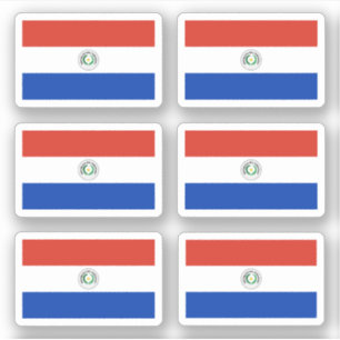 Sticker Drapeau du Paraguayan