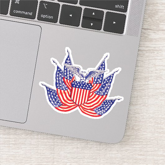 Sticker Drapeaux américains vintage (Détail)