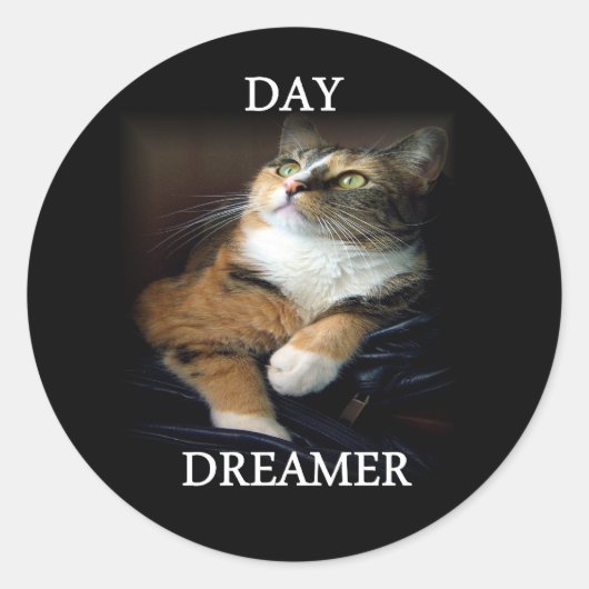 Sticker Dreamer Day (Devant)