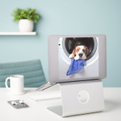 Sticker Drôle étourdissant beagle lavage délicat (Ordinateur portable sur le bureau)