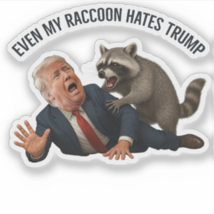 Sticker Drôle Même Mon Raton Laveur Aime Trump 2025 Anti-T