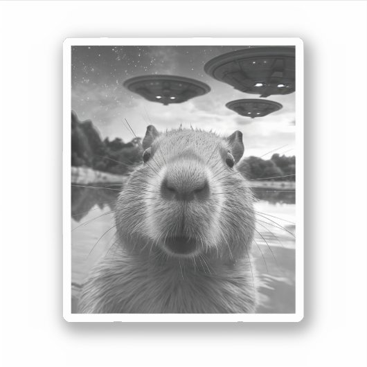 Sticker Drôle Selfie de Capybara Graphique avec des OVNI É (Devant)
