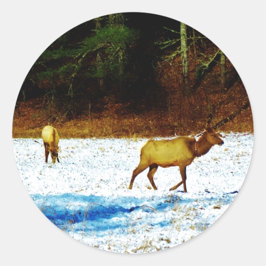 STICKER DSC00131.JPG (Devant)