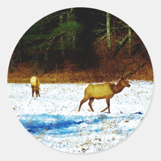 STICKER DSC00131.JPG (Devant)