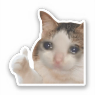 Sticker duimen omhoog OK Cat meme
