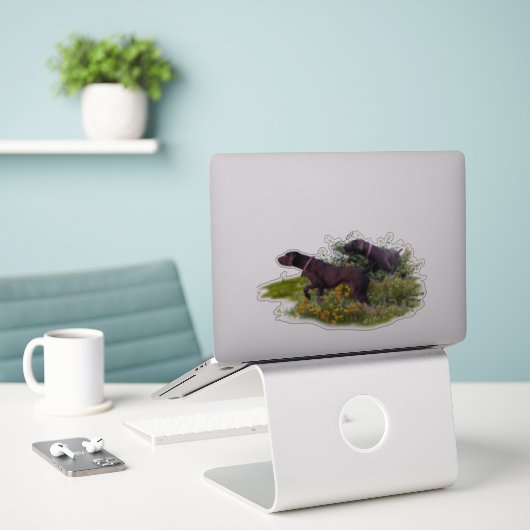 Sticker Duitse Shorthaired Pointers (Laptop op bureau)