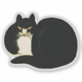 Sticker Dynastie Qing chinoise rétro Manchu noir Chat (Devant)