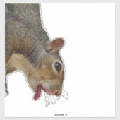 Sticker écureuil (Feuille)