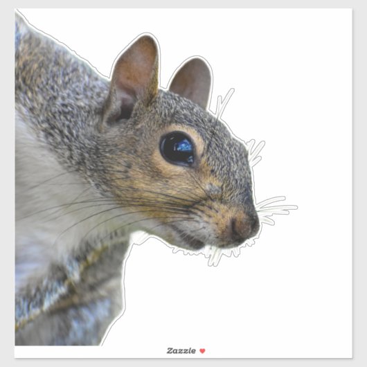 Sticker écureuil (Feuille)