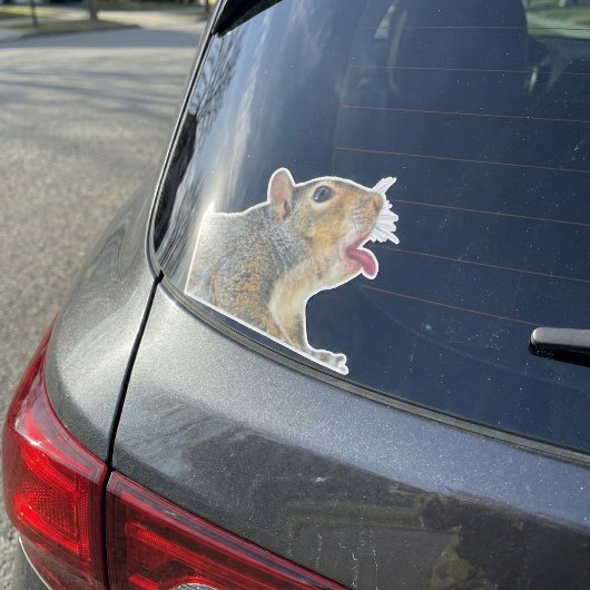 Sticker écureuil