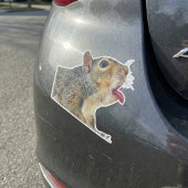Sticker écureuil