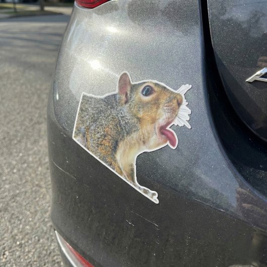 Sticker écureuil