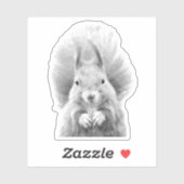 Sticker Écureuil noir et blanc (Feuille)
