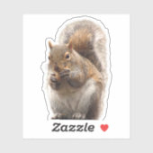 Sticker eekhoorn (Vel)