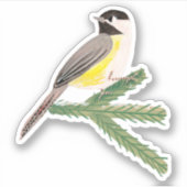 Sticker élégant pour oiseau-poule jaune et vert (Devant)
