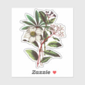 Sticker Elégant Rose d'hiver Vintage Hellebore (Feuille)