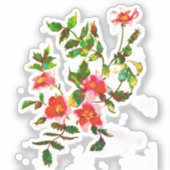 Sticker Elégant rose Roses d'aquarelle (Recto)