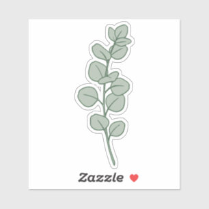 Sticker Élégant Vert Sauge Eucalyptus Botanique Minimalist