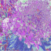 Sticker Élégante Hydrangée violette et bleu limelight (Devant)